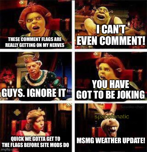 msmg currently | I CAN’T EVEN COMMENT! THESE COMMENT FLAGS ARE REALLY GETTING ON MY NERVES; YOU HAVE GOT TO BE JOKING; GUYS. IGNORE IT; spacefanatic; MSMG WEATHER UPDATE! QUICK WE GOTTA GET TO THE FLAGS BEFORE SITE MODS DO | image tagged in shrek | made w/ Imgflip meme maker