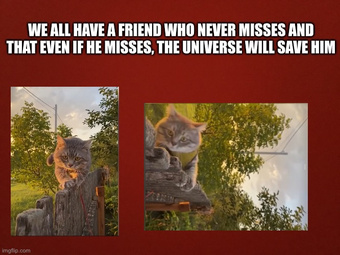 we all have a friend who never misses and that even if he misses, the universe will save him | WE ALL HAVE A FRIEND WHO NEVER MISSES AND THAT EVEN IF HE MISSES, THE UNIVERSE WILL SAVE HIM | image tagged in funny | made w/ Imgflip meme maker