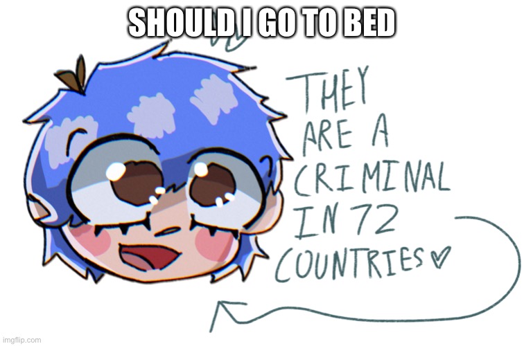 they are a criminal in 72 countries | SHOULD I GO TO BED | image tagged in they are a criminal in 72 countries | made w/ Imgflip meme maker