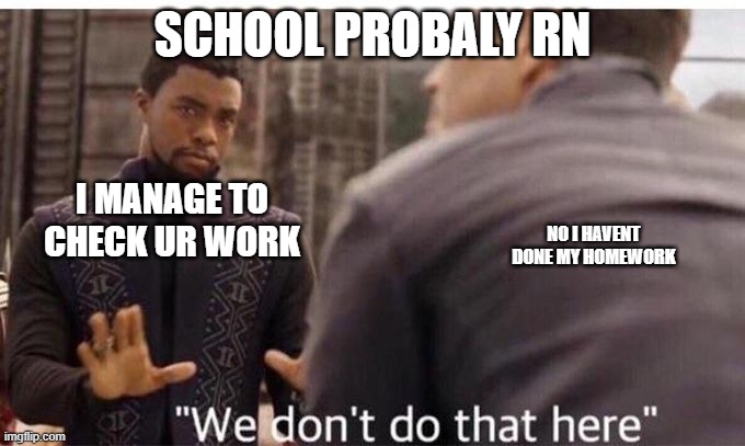 aaaa | SCHOOL PROBALY RN; I MANAGE TO CHECK UR WORK; NO I HAVENT DONE MY HOMEWORK | image tagged in we dont do that here | made w/ Imgflip meme maker