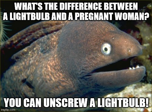 Bad Joke Eel | WHAT'S THE DIFFERENCE BETWEEN A LIGHTBULB AND A PREGNANT WOMAN? YOU CAN UNSCREW A LIGHTBULB! | image tagged in memes,bad joke eel | made w/ Imgflip meme maker