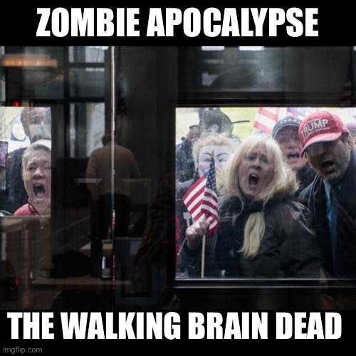 Trump Michigan Protesters | ZOMBIE APOCALYPSE; THE WALKING BRAIN DEAD | image tagged in trump michigan protesters | made w/ Imgflip meme maker