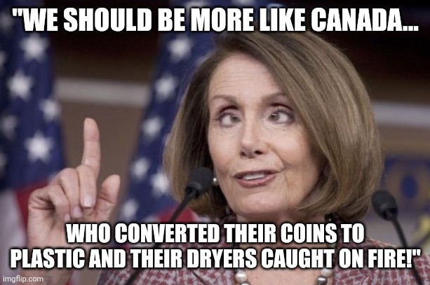 Border wall should be on the north to keep idiots out! | "WE SHOULD BE MORE LIKE CANADA... WHO CONVERTED THEIR COINS TO PLASTIC AND THEIR DRYERS CAUGHT ON FIRE!" | image tagged in nancy pelosi,border wall,north | made w/ Imgflip meme maker