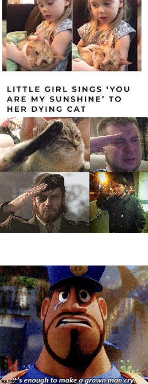 :( | image tagged in ozon's salute,it's enough to make a grown man cry | made w/ Imgflip meme maker