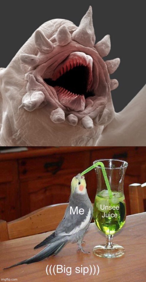 Thanks, I Hate it Now | image tagged in unsee juice big sip,unsee juice,unsee,memes,cursed image,funny | made w/ Imgflip meme maker