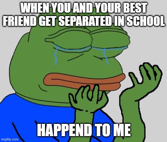 sad | WHEN YOU AND YOUR BEST FRIEND GET SEPARATED IN SCHOOL; HAPPEND TO ME | image tagged in pepe cry,pepe,school,best friends,bored,sad | made w/ Imgflip meme maker