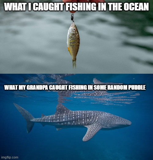 true | WHAT I CAUGHT FISHING IN THE OCEAN; WHAT MY GRANDPA CAUGHT FISHING IN SOME RANDOM PUDDLE | image tagged in memes | made w/ Imgflip meme maker