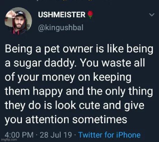 Sugar Puppy | image tagged in memes,unfunny | made w/ Imgflip meme maker