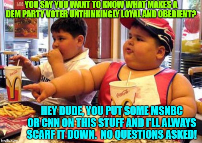 Mystery solved!  Although, granted, it wasn't much of a mystery. | YOU SAY YOU WANT TO KNOW WHAT MAKES A DEM PARTY VOTER UNTHINKINGLY LOYAL AND OBEDIENT? HEY DUDE, YOU PUT SOME MSNBC OR CNN ON THIS STUFF AND I'LL ALWAYS SCARF IT DOWN.  NO QUESTIONS ASKED! | image tagged in fat kids at mc donalds | made w/ Imgflip meme maker