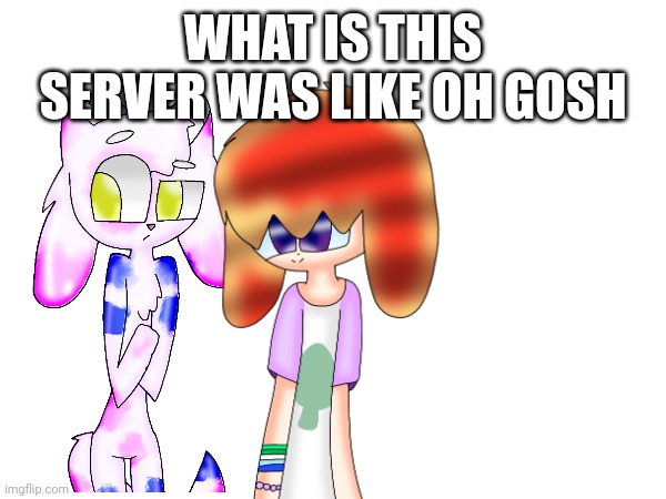 Seriously what | WHAT IS THIS SERVER WAS LIKE OH GOSH | image tagged in oc,myoc,dank memes,funny memes | made w/ Imgflip meme maker