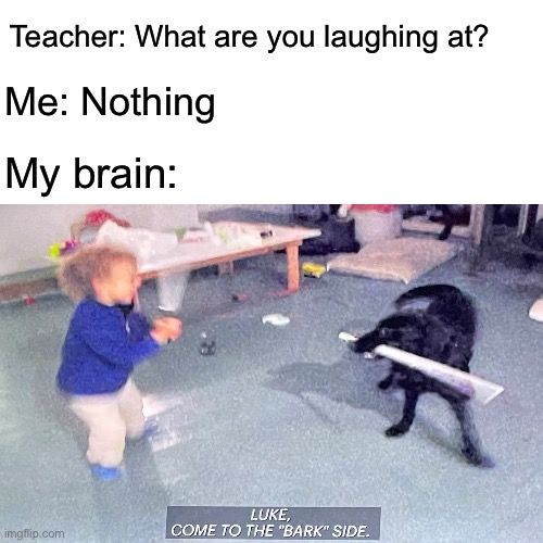 May the borks be with you | Me: Nothing; Teacher: What are you laughing at? My brain: | image tagged in memes,star wars,dogs | made w/ Imgflip meme maker
