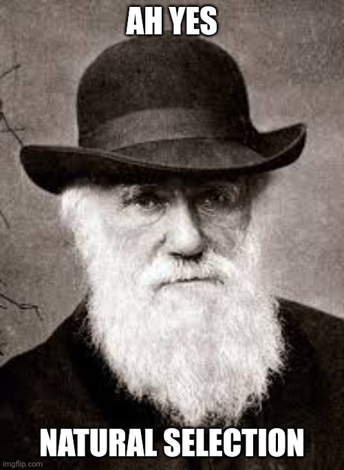 Charles Darwin | AH YES NATURAL SELECTION | image tagged in charles darwin | made w/ Imgflip meme maker