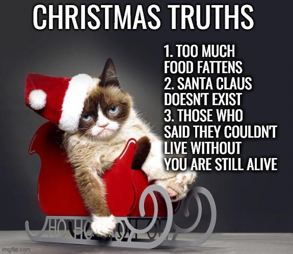 Christmas Truths | CHRISTMAS TRUTHS; 1. TOO MUCH FOOD FATTENS
2. SANTA CLAUS DOESN'T EXIST
3. THOSE WHO SAID THEY COULDN'T LIVE WITHOUT YOU ARE STILL ALIVE | image tagged in christmas,merry christmas,christmas meme,food,santa,santa clause | made w/ Imgflip meme maker