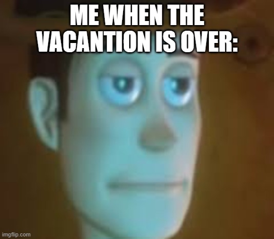 disappointed woody | ME WHEN THE VACANTION IS OVER: | image tagged in disappointed woody,memes | made w/ Imgflip meme maker