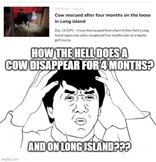 Hard to Miss | HOW THE HELL DOES A COW DISAPPEAR FOR 4 MONTHS? AND ON LONG ISLAND??? | image tagged in memes,jackie chan wtf | made w/ Imgflip meme maker