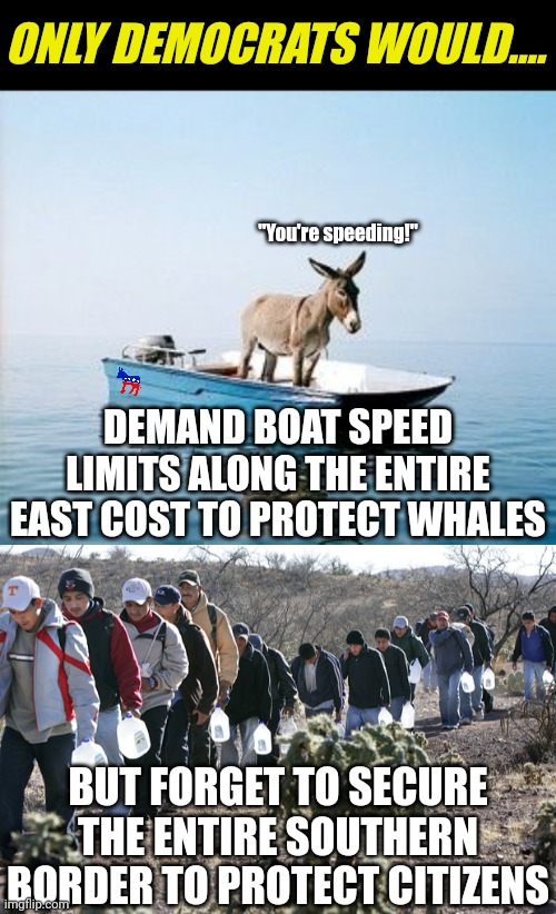 Priorities..... whatever you value, democrats don't. | ONLY DEMOCRATS WOULD.... "You're speeding!"; DEMAND BOAT SPEED LIMITS ALONG THE ENTIRE EAST COST TO PROTECT WHALES; BUT FORGET TO SECURE THE ENTIRE SOUTHERN BORDER TO PROTECT CITIZENS | image tagged in donkey on a boat,illegal immigrants crossing border,speed,water,boats,democrats | made w/ Imgflip meme maker