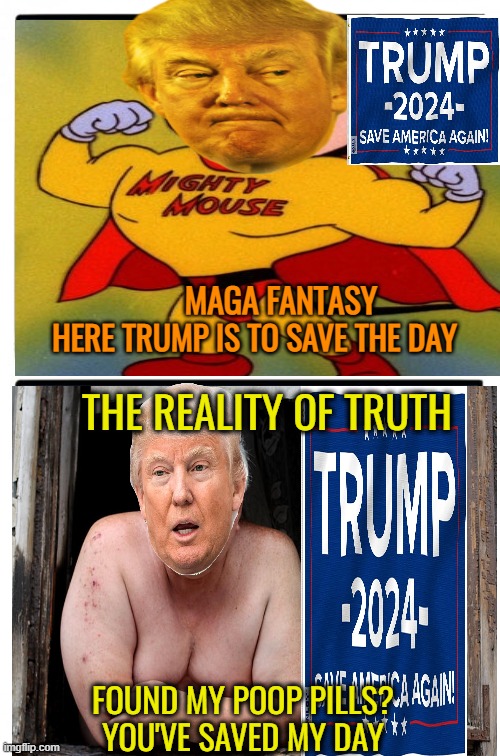 MAGA mythology 101 | MAGA FANTASY; HERE TRUMP IS TO SAVE THE DAY; THE REALITY OF TRUTH; FOUND MY POOP PILLS? 
YOU'VE SAVED MY DAY | image tagged in donald trump,maga,fantasy,political meme,funny memes | made w/ Imgflip meme maker