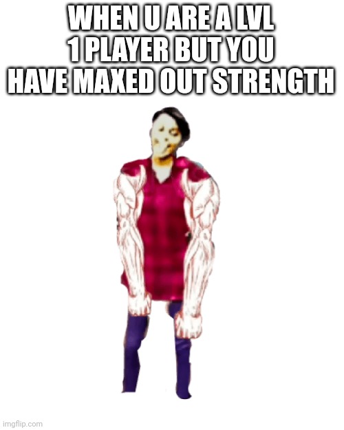 The Micelle | WHEN U ARE A LVL 1 PLAYER BUT YOU HAVE MAXED OUT STRENGTH | image tagged in gaming | made w/ Imgflip meme maker