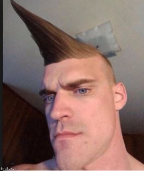 funny haircut | image tagged in funny haircut | made w/ Imgflip meme maker