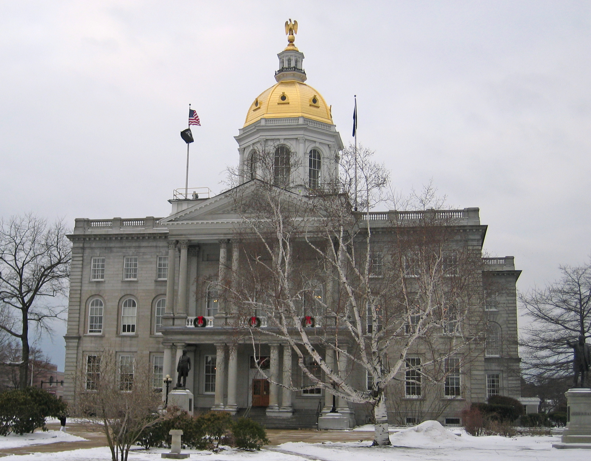 High Quality Slavic New Hampshire State House Blank Meme Template