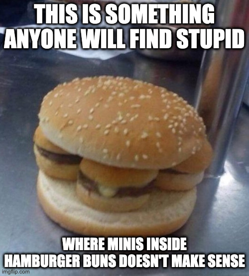 Sliders Inside Buns | THIS IS SOMETHING ANYONE WILL FIND STUPID; WHERE MINIS INSIDE HAMBURGER BUNS DOESN'T MAKE SENSE | image tagged in hamburger,memes,food | made w/ Imgflip meme maker