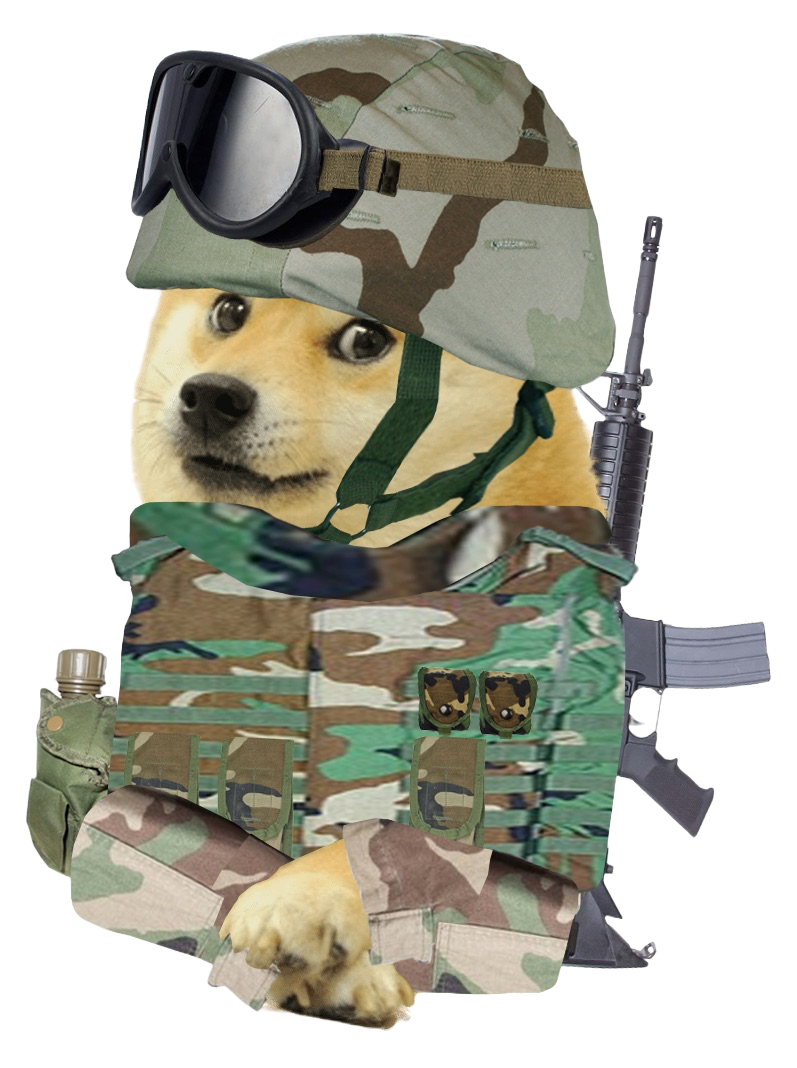 Iraq war doge, us army 2003 Blank Meme Template