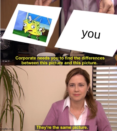 They're The Same Picture Meme | you | image tagged in memes,they're the same picture | made w/ Imgflip meme maker