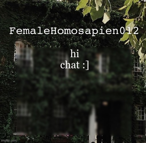 FemaleHomosapien012 | hi chat :] | image tagged in femalehomosapien012 | made w/ Imgflip meme maker