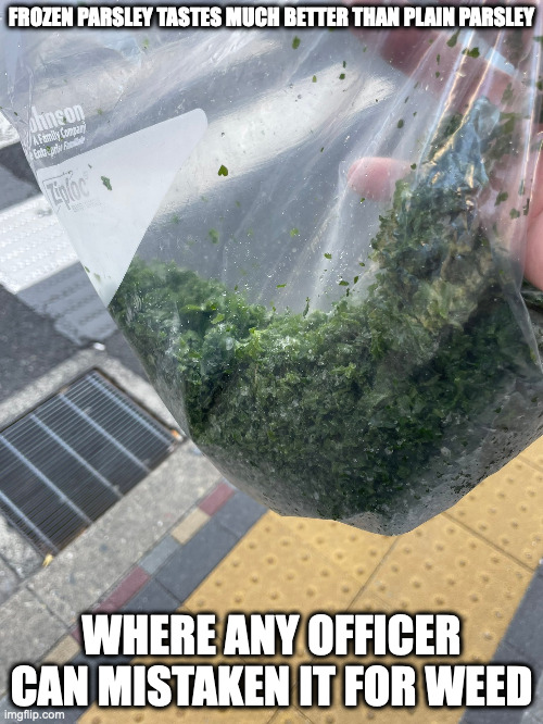 Parsley in a Ziploc Bag | FROZEN PARSLEY TASTES MUCH BETTER THAN PLAIN PARSLEY; WHERE ANY OFFICER CAN MISTAKEN IT FOR WEED | image tagged in parsley,memes | made w/ Imgflip meme maker