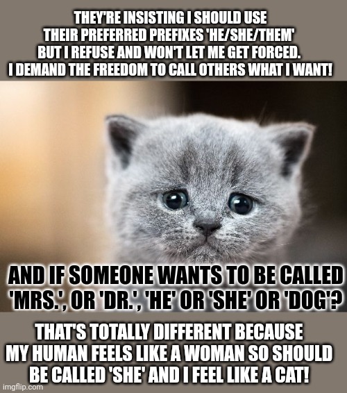 This #lolcat wonders if others should decide what to call you | THEY'RE INSISTING I SHOULD USE
THEIR PREFERRED PREFIXES 'HE/SHE/THEM' 
BUT I REFUSE AND WON'T LET ME GET FORCED. 
I DEMAND THE FREEDOM TO CALL OTHERS WHAT I WANT! AND IF SOMEONE WANTS TO BE CALLED 'MRS.', OR 'DR.', 'HE' OR 'SHE' OR 'DOG'? THAT'S TOTALLY DIFFERENT BECAUSE MY HUMAN FEELS LIKE A WOMAN SO SHOULD BE CALLED 'SHE' AND I FEEL LIKE A CAT! | image tagged in think about it,transgender,gender identity,lolcat,hypocrisy,prefix | made w/ Imgflip meme maker