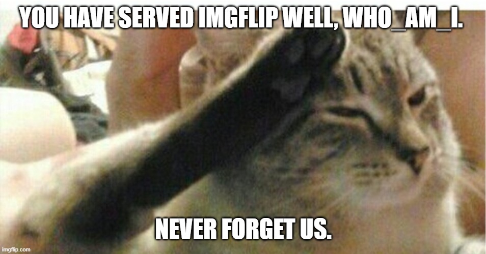 goodbye | YOU HAVE SERVED IMGFLIP WELL, WHO_AM_I. NEVER FORGET US. | image tagged in cat of honor | made w/ Imgflip meme maker