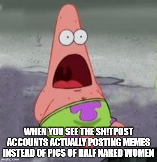 OMG | WHEN YOU SEE THE SH!TPOST ACCOUNTS ACTUALLY POSTING MEMES INSTEAD OF PICS OF HALF NAKED WOMEN | image tagged in suprised patrick | made w/ Imgflip meme maker