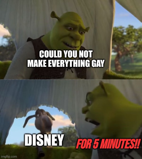 Could you not ___ for 5 MINUTES | COULD YOU NOT MAKE EVERYTHING GAY; DISNEY; FOR 5 MINUTES!! | image tagged in could you not ___ for 5 minutes | made w/ Imgflip meme maker