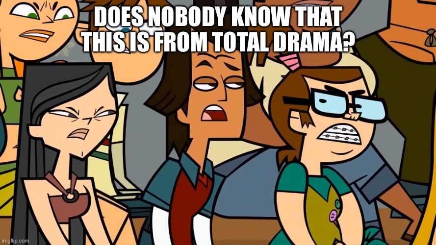 Angry Teammates glare at a opponent | DOES NOBODY KNOW THAT THIS IS FROM TOTAL DRAMA? | image tagged in angry teammates glare at a opponent | made w/ Imgflip meme maker