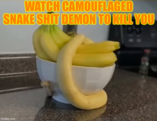 watch camouflaged snake shit demon to kill you | WATCH CAMOUFLAGED SNAKE SHIT DEMON TO KILL YOU | image tagged in snake | made w/ Imgflip meme maker