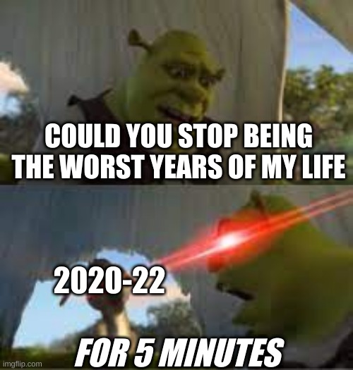 Can you stop for 5 minutes!? | COULD YOU STOP BEING THE WORST YEARS OF MY LIFE; 2020-22; FOR 5 MINUTES | image tagged in can you stop for 5 minutes | made w/ Imgflip meme maker