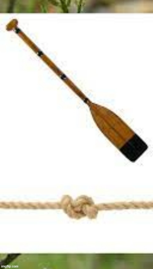 meme by brad oar knot | image tagged in humor | made w/ Imgflip meme maker