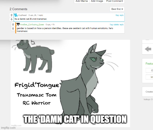 i caught one in the wild (If it's hard to read, I'll put the transcript in the comments) | THE 'DAMN CAT' IN QUESTION | made w/ Imgflip meme maker