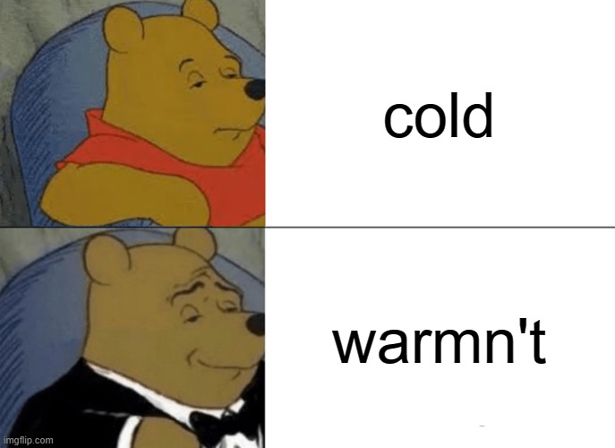 warmn't | cold; warmn't | image tagged in memes,tuxedo winnie the pooh | made w/ Imgflip meme maker