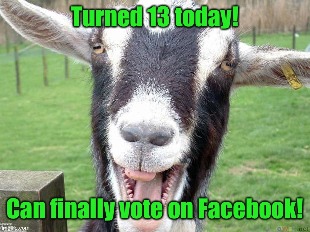 Funny Goat | Turned 13 today! Can finally vote on Facebook! | image tagged in funny goat | made w/ Imgflip meme maker