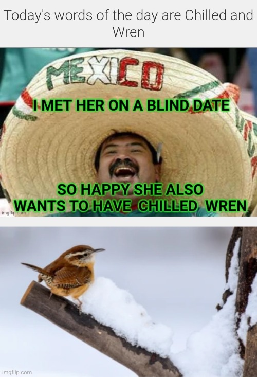 image tagged in date,blind date,bird | made w/ Imgflip meme maker