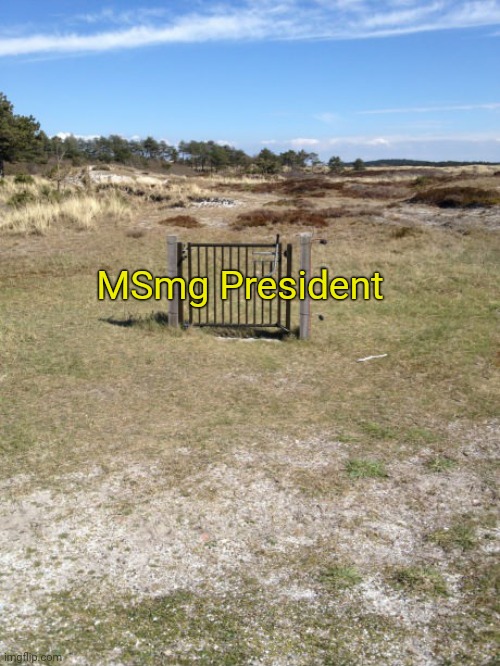 . | MSmg President | image tagged in useless fence | made w/ Imgflip meme maker