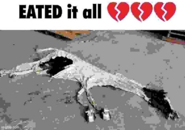 I eated it all | image tagged in i eated it all | made w/ Imgflip meme maker