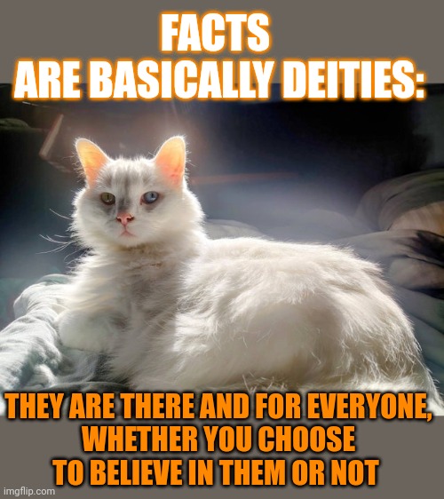 This #lolcat wonders if you believe or not. | FACTS 
ARE BASICALLY DEITIES:; THEY ARE THERE AND FOR EVERYONE,
WHETHER YOU CHOOSE
TO BELIEVE IN THEM OR NOT | image tagged in think about it,lolcat,faith,religion,facts | made w/ Imgflip meme maker
