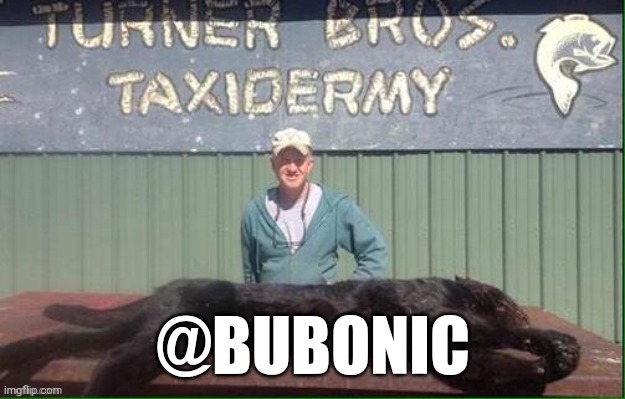 Taxidermy | @BUBONIC | image tagged in taxidermy | made w/ Imgflip meme maker