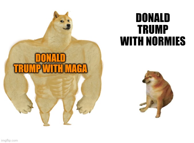 Big dog small dog | DONALD TRUMP WITH MAGA DONALD TRUMP WITH NORMIES | image tagged in big dog small dog | made w/ Imgflip meme maker