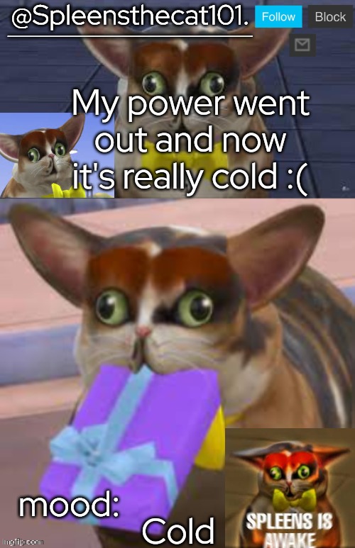 Sad | My power went out and now it's really cold :(; Cold | image tagged in spleensthecat101 | made w/ Imgflip meme maker