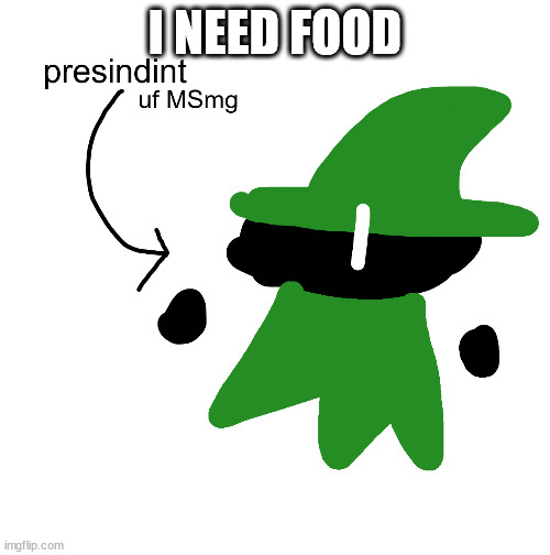 him!!!!!!!!!!!!!!!!!!! green mage!!!!!!!!!! | I NEED FOOD | image tagged in him green mage | made w/ Imgflip meme maker