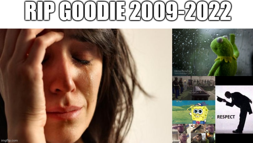 My snake goodie passed a couple days ago just held a funeral an F would be appreciated | RIP GOODIE 2009-2022 | image tagged in memes,first world problems,kermit window,press f to pay respects,spongebob salute,crying salute | made w/ Imgflip meme maker