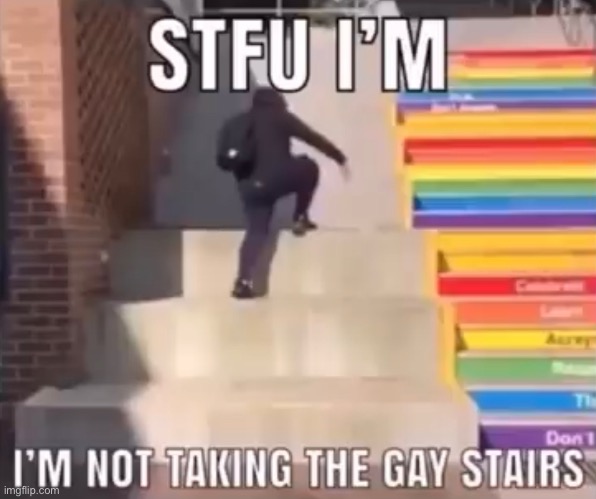 image tagged in not gay | made w/ Imgflip meme maker